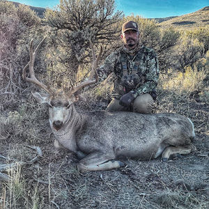 Meet your Posher, Troy